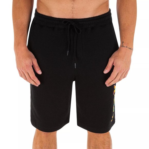NWT Hurley Men's One and Only Pride Fleece Shorts - Picture 2 of 3